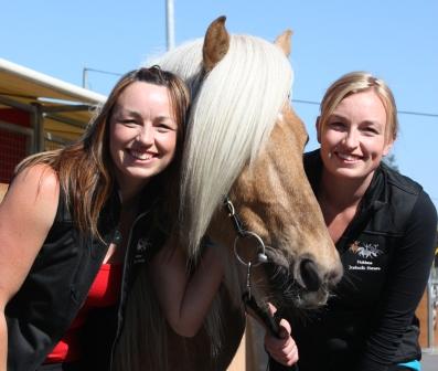 Haldane Icelandic Horses | Princes Hwy, Yambuk VIC 3285, Australia | Phone: 0431 815 880