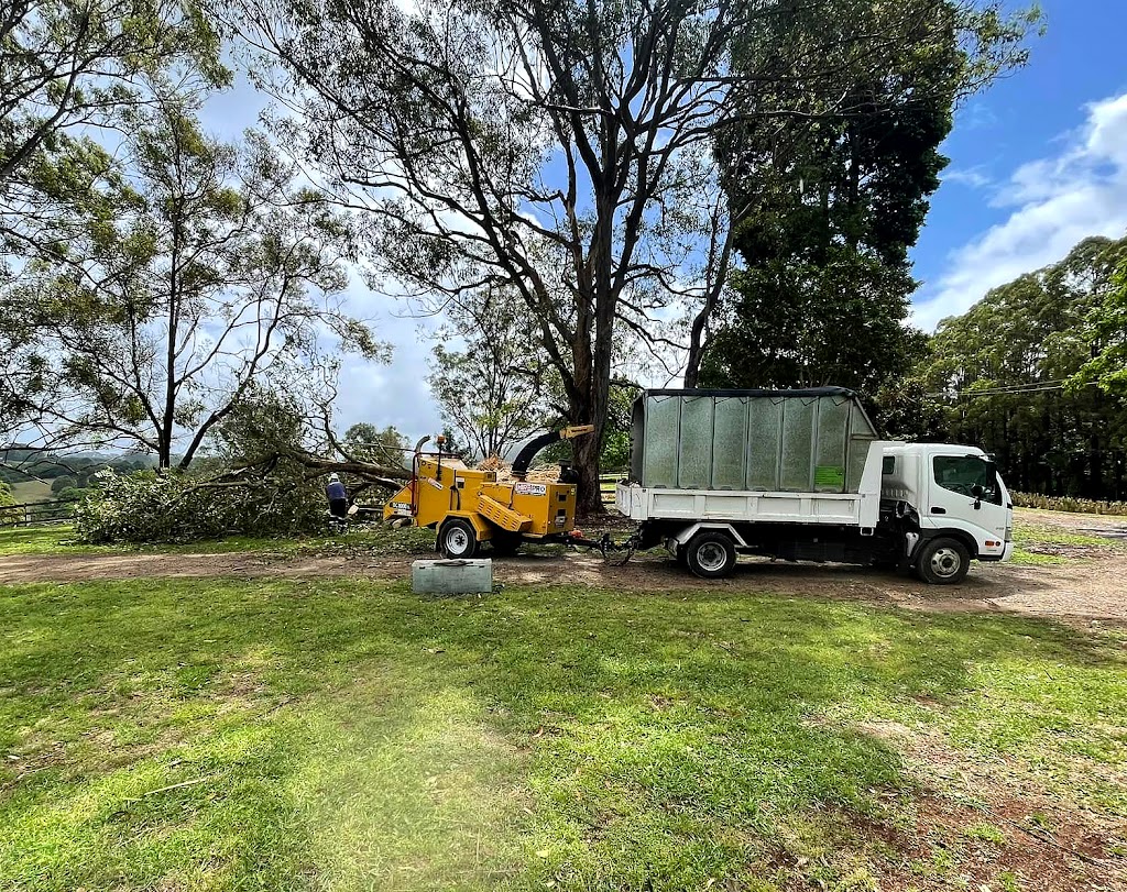 Pacific Tree Services | 31B Alexander Ln, Eltham NSW 2480, Australia | Phone: 0448 954 559