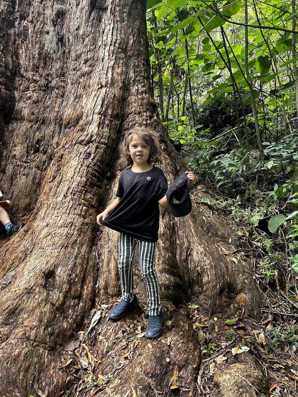 Bushling Nature Play | 167 North Rd, Lower Beechmont QLD 4211, Australia | Phone: 0450 335 628