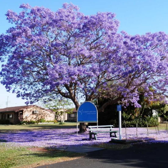 Catholic Healthcare St Francis Aged Care (Grafton) | 226 Arthur St, Grafton NSW 2460, Australia | Phone: 1800 225 474