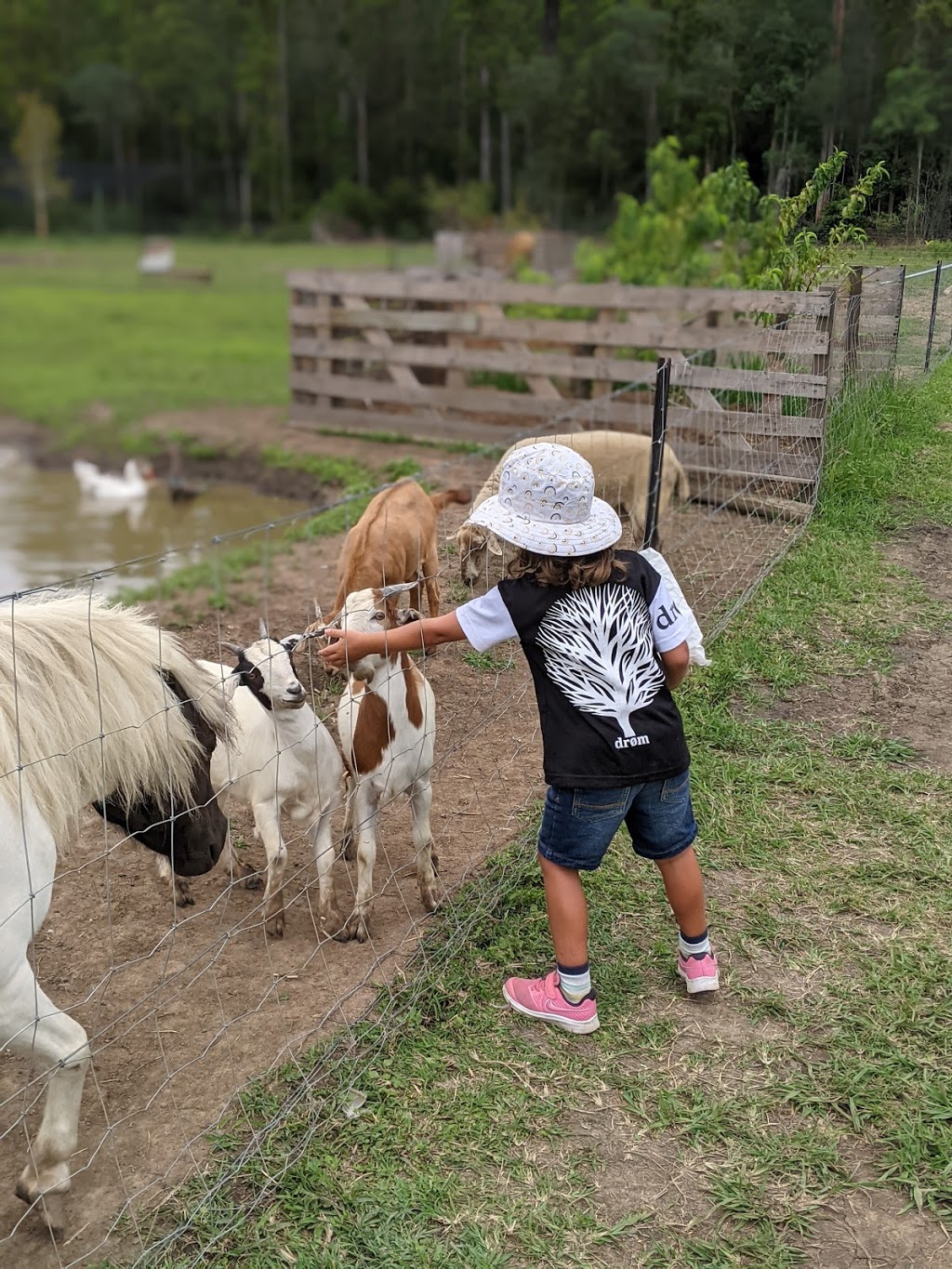 The Peach Farm |  | 5799 Pacific Hwy, Mororo NSW 2469, Australia | 0447589177 OR +61 447 589 177