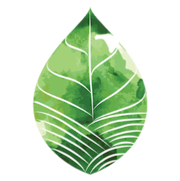 Edge Early Learning Tarragindi (previously Cubby Care Early Lear | 43 Pope St, Tarragindi QLD 4121, Australia | Phone: (07) 3848 6938