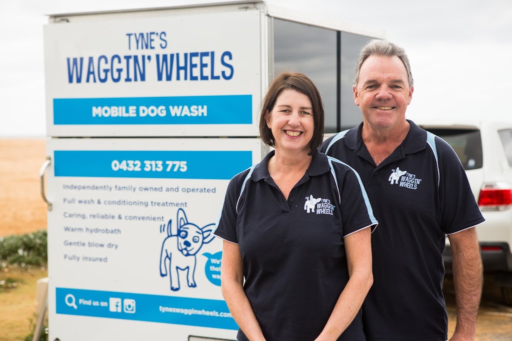 Tynes Waggin Wheels Mobile Dog Wash |  | 13 Sunny Waters Rd, Kincumber NSW 2251, Australia | 0432313775 OR +61 432 313 775