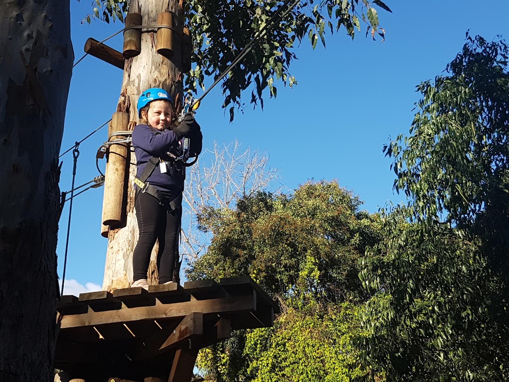 Trees Adventure - Grose River Park | 200 Springwood Rd, Yarramundi NSW 2753, Australia | Phone: (02) 4776 1226