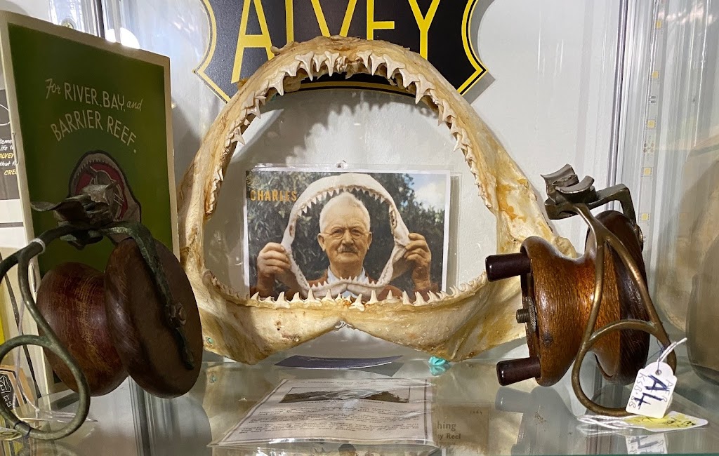Alvey Den (by appointment) | 118 Overall Dr, Pottsville NSW 2489, Australia | Phone: 0411 119 679