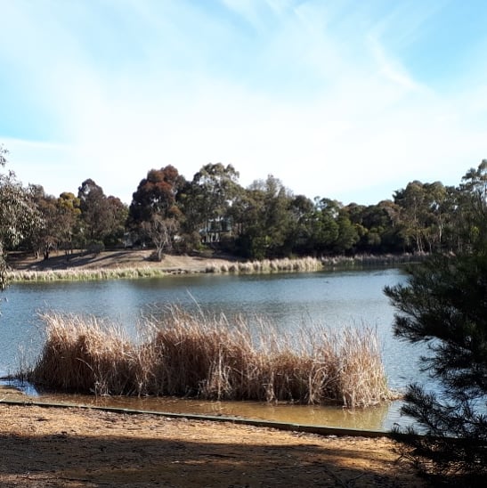 Lake Esmond | park | 233 Larter St, Golden Point VIC 3350, Australia