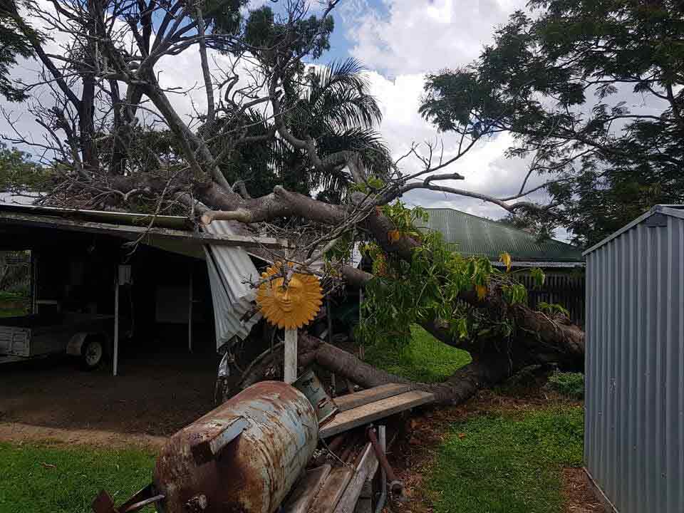 Browns Vegetation Management | Old Byfield Rd, Mulara QLD 4703, Australia | Phone: (07) 4911 4095