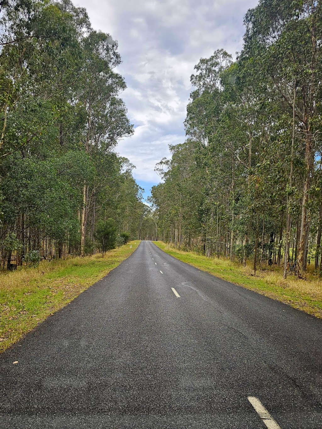 Bom Bom State Forest Campground | Bom Bom NSW 2460, Australia | Phone: (02) 9872 0111