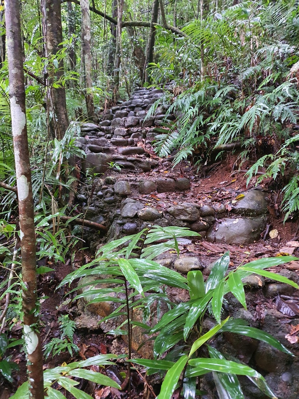 Souita Falls | tourist attraction | Middlebrook QLD 4886, Australia | 0740914222 OR +61 7 4091 4222