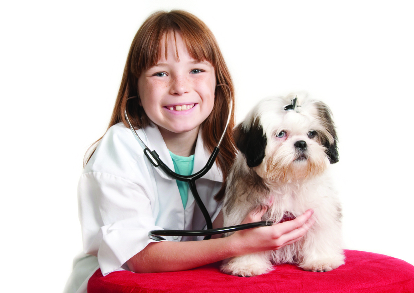 Bellarine Veterinary Practice | veterinary care | 108 High St, Drysdale VIC 3222, Australia | 0352531393 OR +61 3 5253 1393