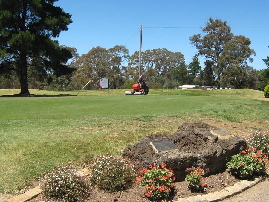 B Performance & Pro Shop | 77 Belvoir Park Rd, Ravenswood VIC 3453, Australia | Phone: (03) 5435 3370