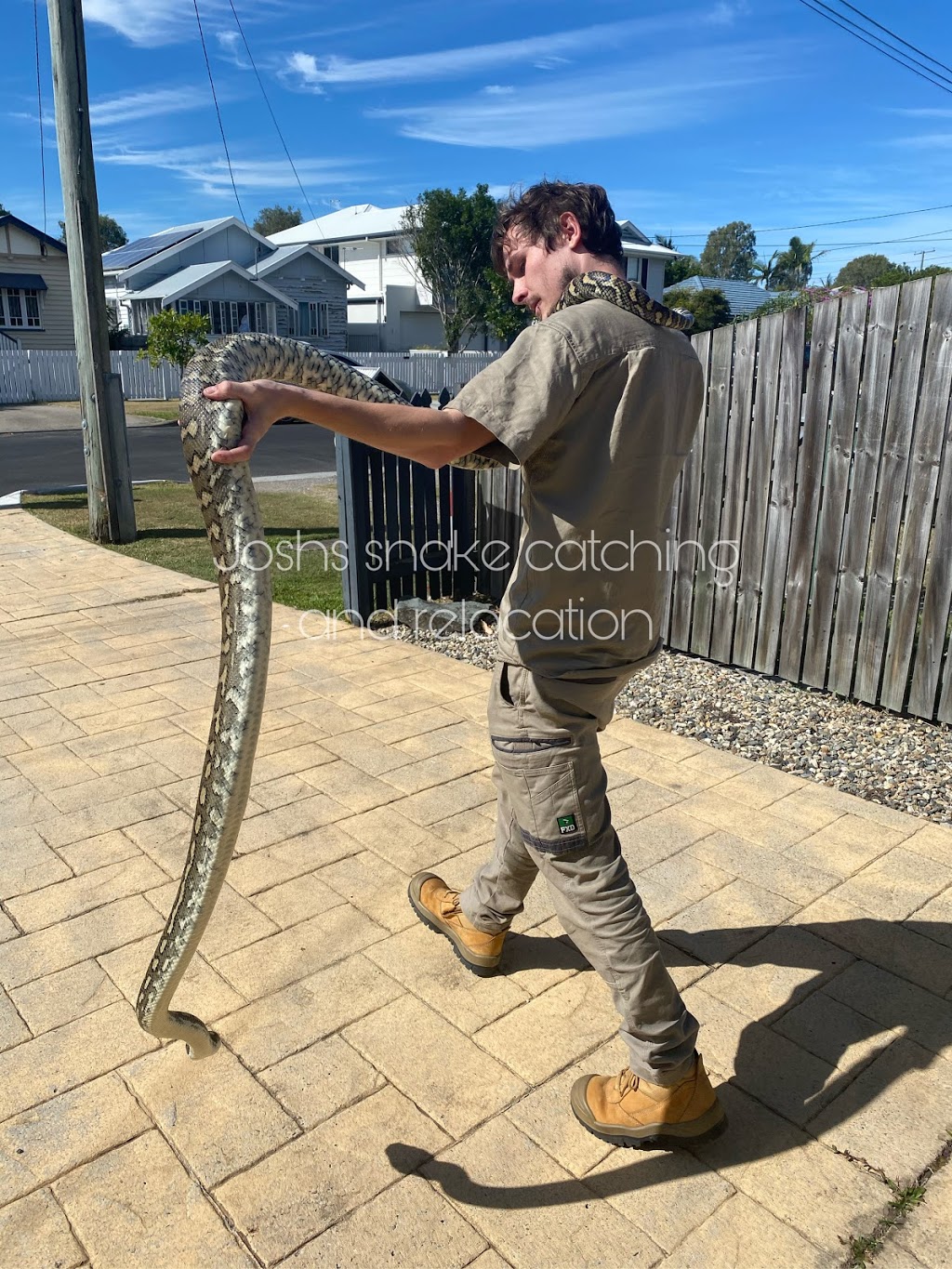 Joshs Snake Catching and Relocation - Brisbane |  | 1/23 Swallow St, Griffin QLD 4503, Australia | 0474826129 OR +61 474 826 129