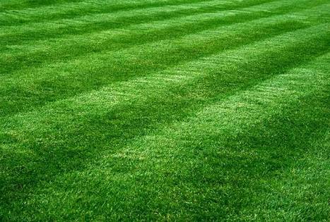 Perth Lawn Maintenance | 69 Marlinspike Bvd, Jindalee WA 6036, Australia | Phone: 0432 222 057