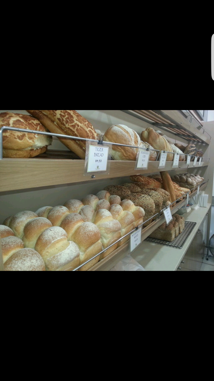 Peregian Beach Bakery | 10 Kingfisher Dr, Peregian Beach QLD 4573, Australia | Phone: (07) 5448 1366