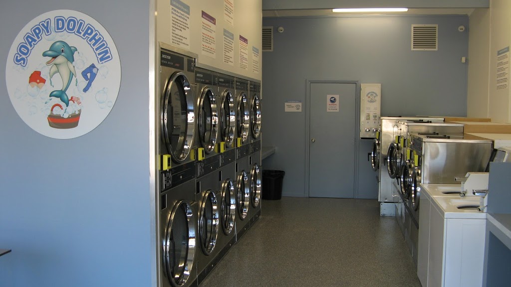 Soapy Dolphin Laundry | 401 Springvale Rd, Forest Hill VIC 3131, Australia | Phone: 0417 497 288