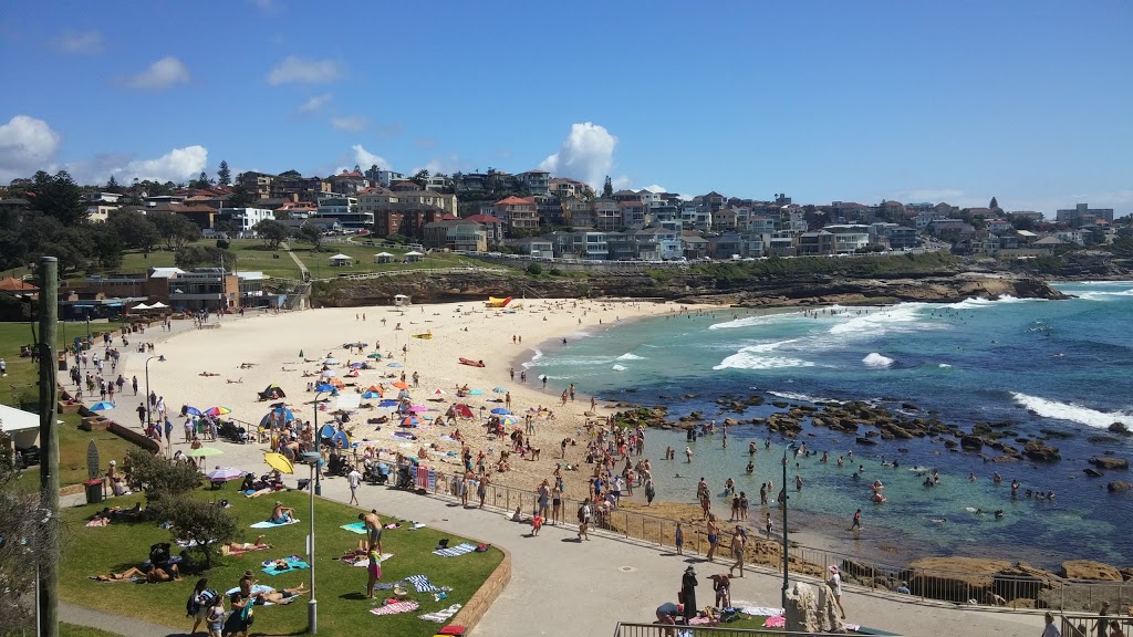 Bondi to Bronte Ocean Swim | 502 Bronte Rd, Bronte NSW 2024, Australia | Phone: (02) 9389 6500