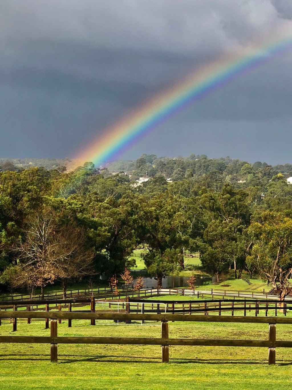 Valley Horse Agistment | Berwick/Guys Hill Area, Harkaway VIC 3807, Australia | Phone: 0407 886 779