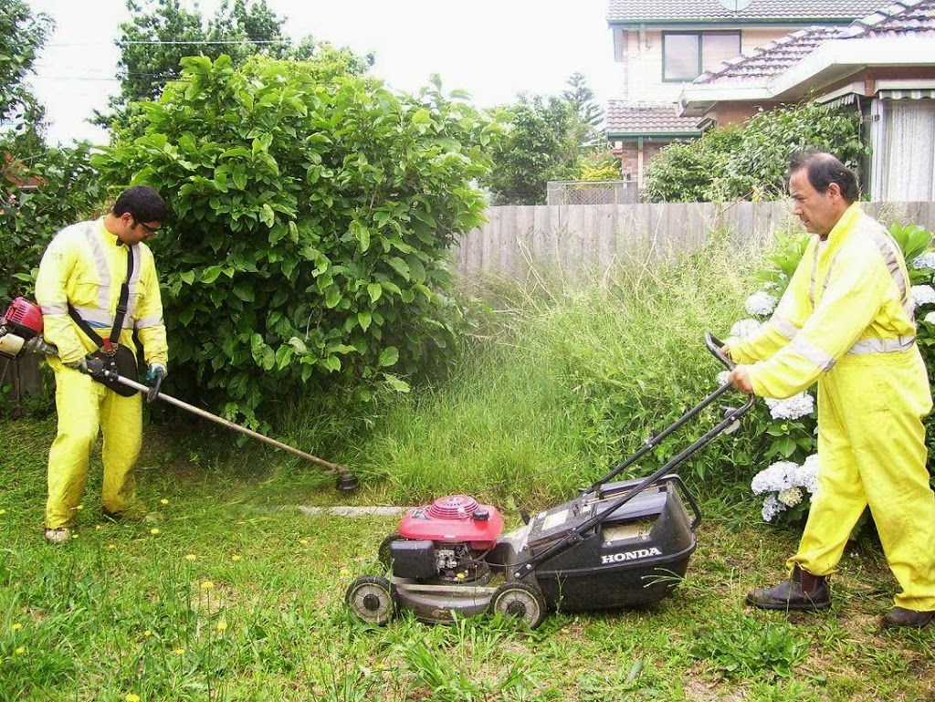 Cleaning Family 5star Services | park | 69 Crawford Rd, Melbourne VIC 3169, Australia | 0478091895 OR +61 478 091 895