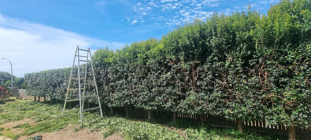 Cap Coast Man and Mower | Yeppoon Cres, Yeppoon QLD 4703, Australia | Phone: 0466 508 515