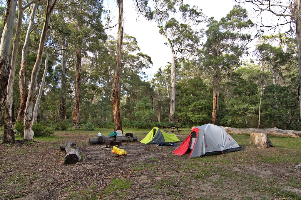 Mulloon Creek campground | campground | Mulloon Firetrail, Palerang NSW 2622, Australia | 0244760800 OR +61 2 4476 0800