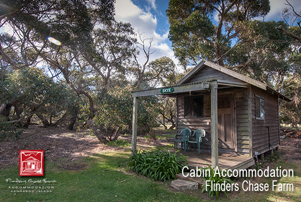 Flinders Chase Farm | 1561 W End Hwy, Karatta SA 5223, Australia | Phone: 0447 021 494