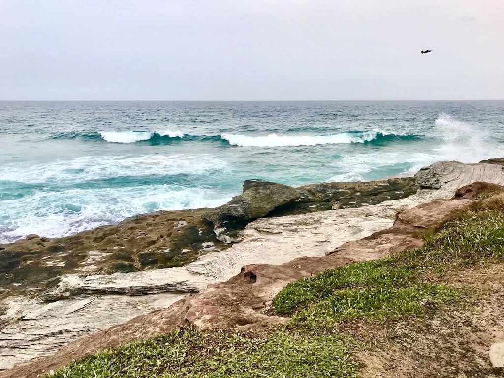 South Curl Curl Rockpool | Carrington Parade, Curl Curl NSW 2096, Australia | Phone: 1300 434 434