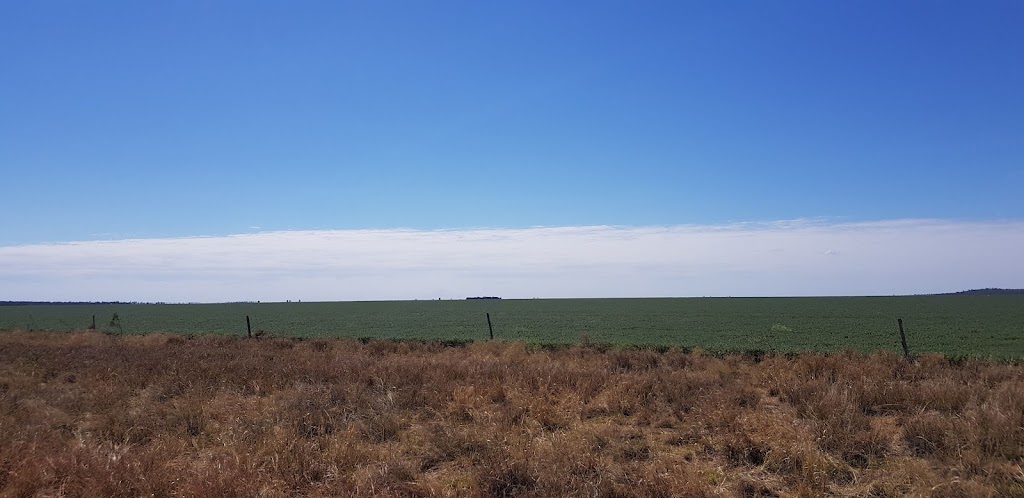 Mazeppa National Park | Frankfield QLD 4721, Australia | Phone: (07) 3170 5470