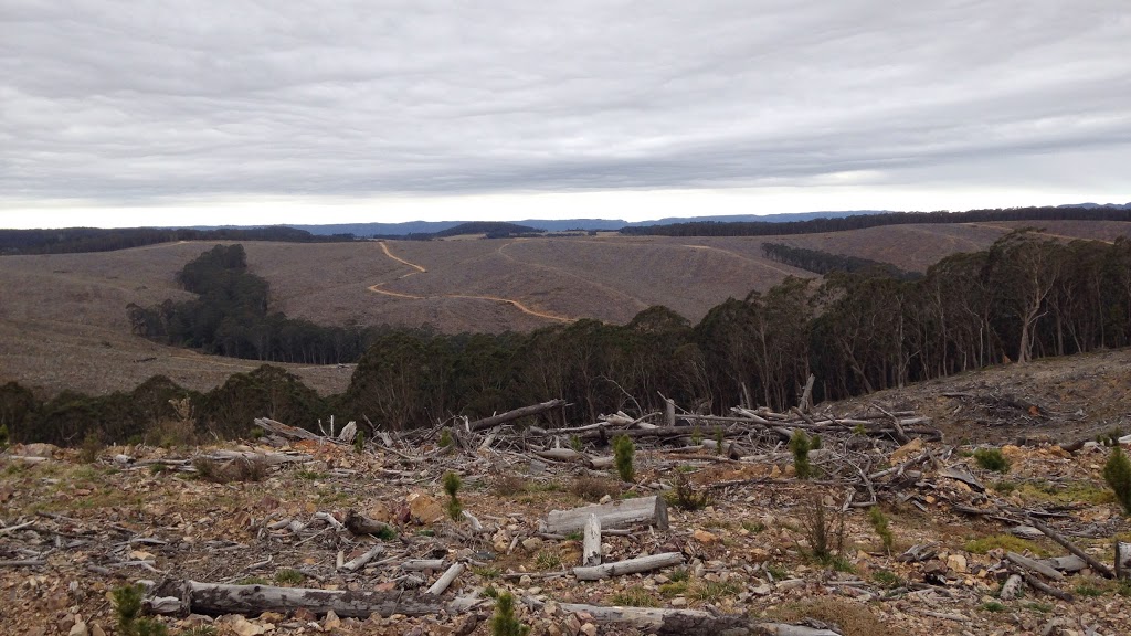 Hampton State Forest | park | Hampton NSW 2790, Australia