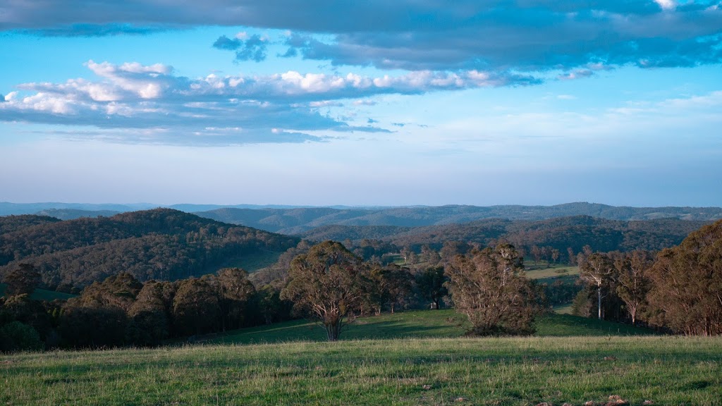 ROCALA WAGYU, MULLABROOK | Mullabrook, Niangala NSW 2354, Australia | Phone: (02) 6769 2395