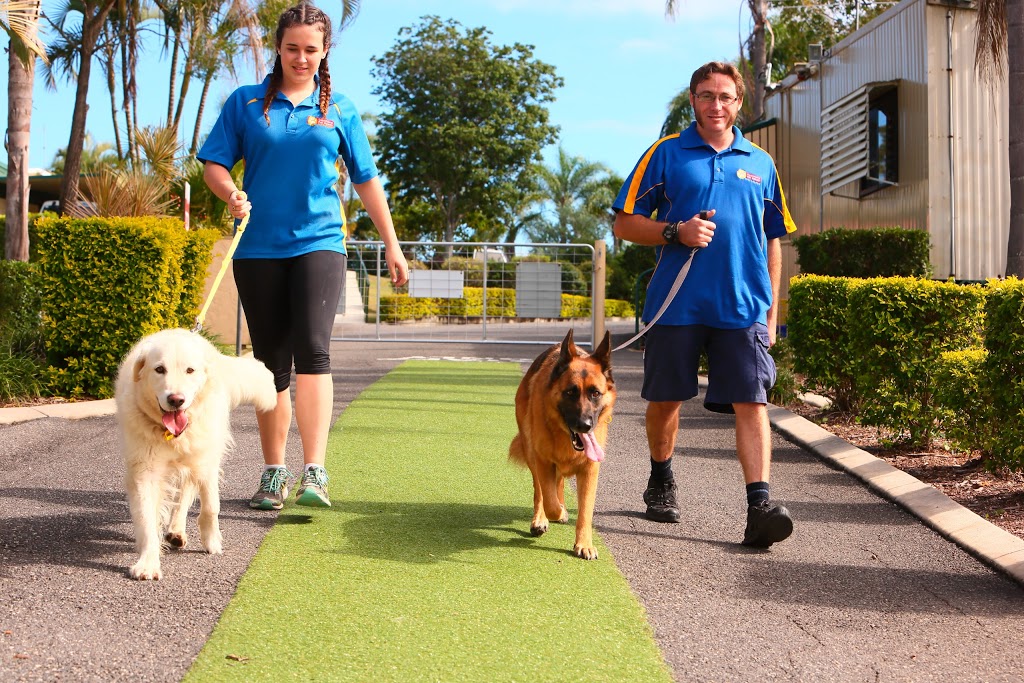 Samford Pet Resort | 64 Beresford Dr, Draper QLD 4520, Australia | Phone: (07) 3289 1600