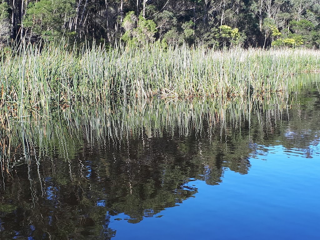 Triplarina Nature Reserve | park | Mundamia NSW 2540, Australia