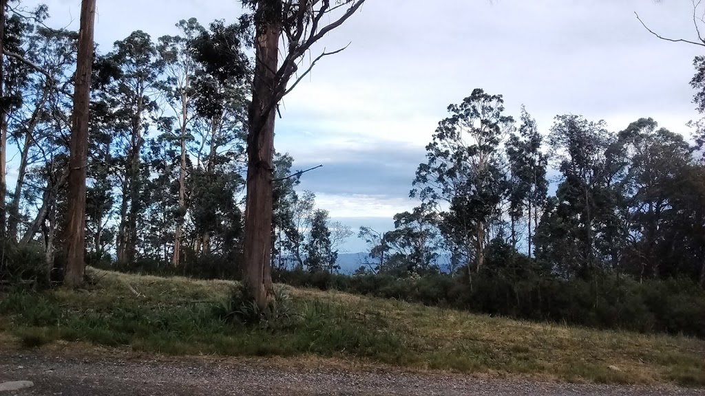 Mount Donna Buang and Mt Victoria Hiking Trail | 1140 Donna Buang Rd, Warburton VIC 3799, Australia