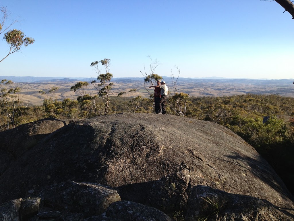 Tenterfield Tours | 206 Pelham St, Tenterfield NSW 2372, Australia | Phone: 0429 358 300