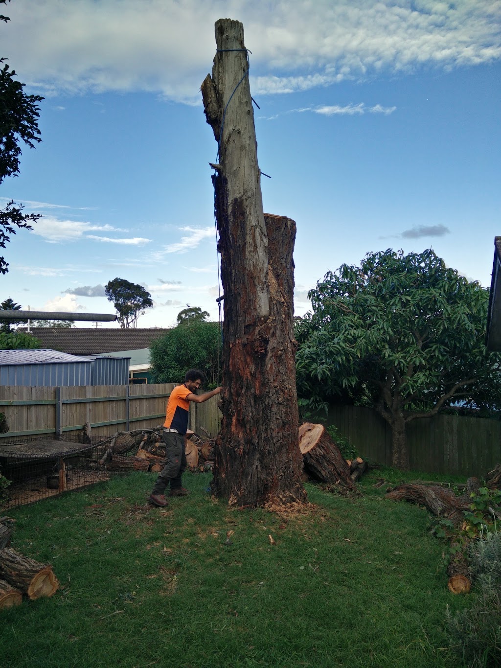 Ninja Stump Grinding | park | Goundry St, newcastle NSW 2290, Australia | 0432695430 OR +61 432 695 430