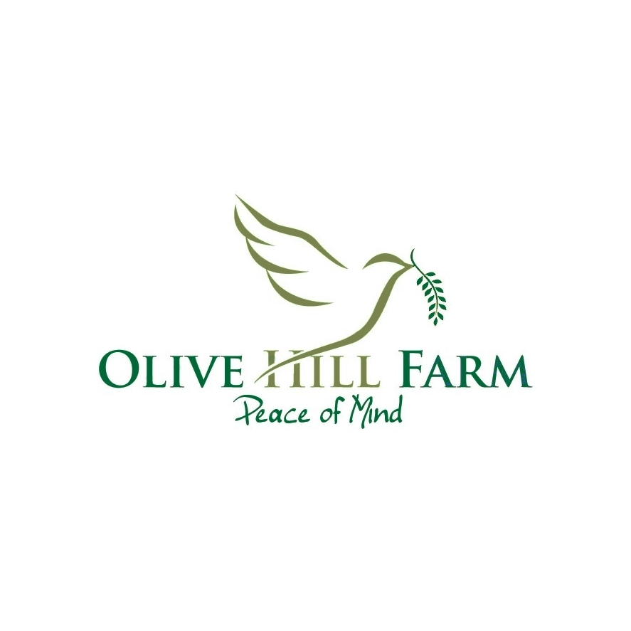 Olive Hill Farm | store | 232 Bramley River Rd, Margaret River WA 6285, Australia | 0897574569 OR +61 8 9757 4569