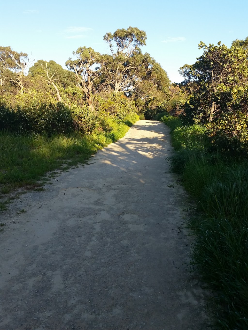 Star Swamp Bushland Reserve | Groat St, North Beach WA 6020, Australia | Phone: (08) 9420 7207