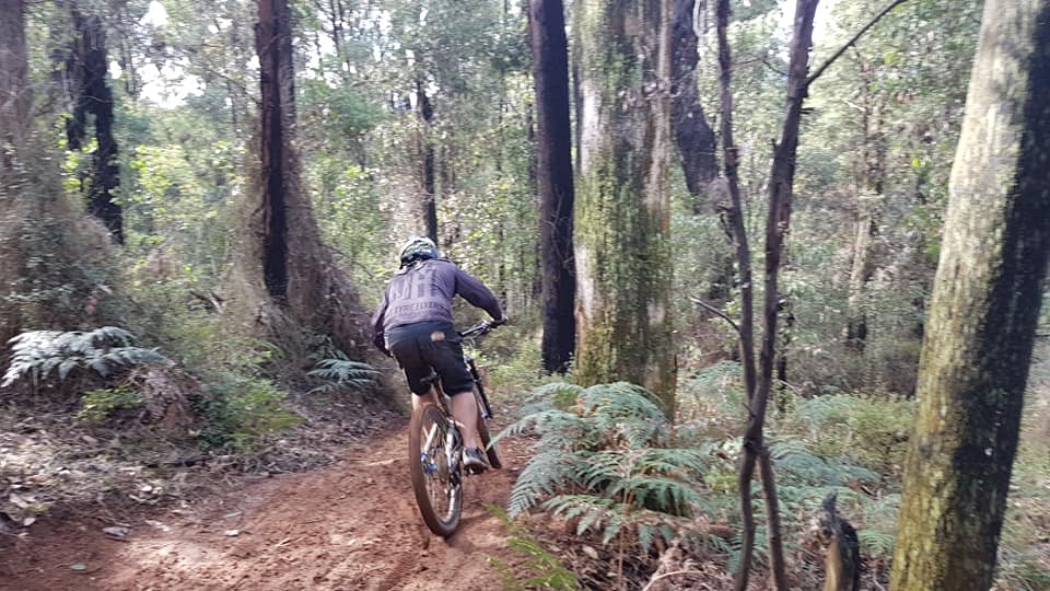 Granton Downhill Mountain Bike Track | 261 Marysville Rd, Marysville VIC 3779, Australia