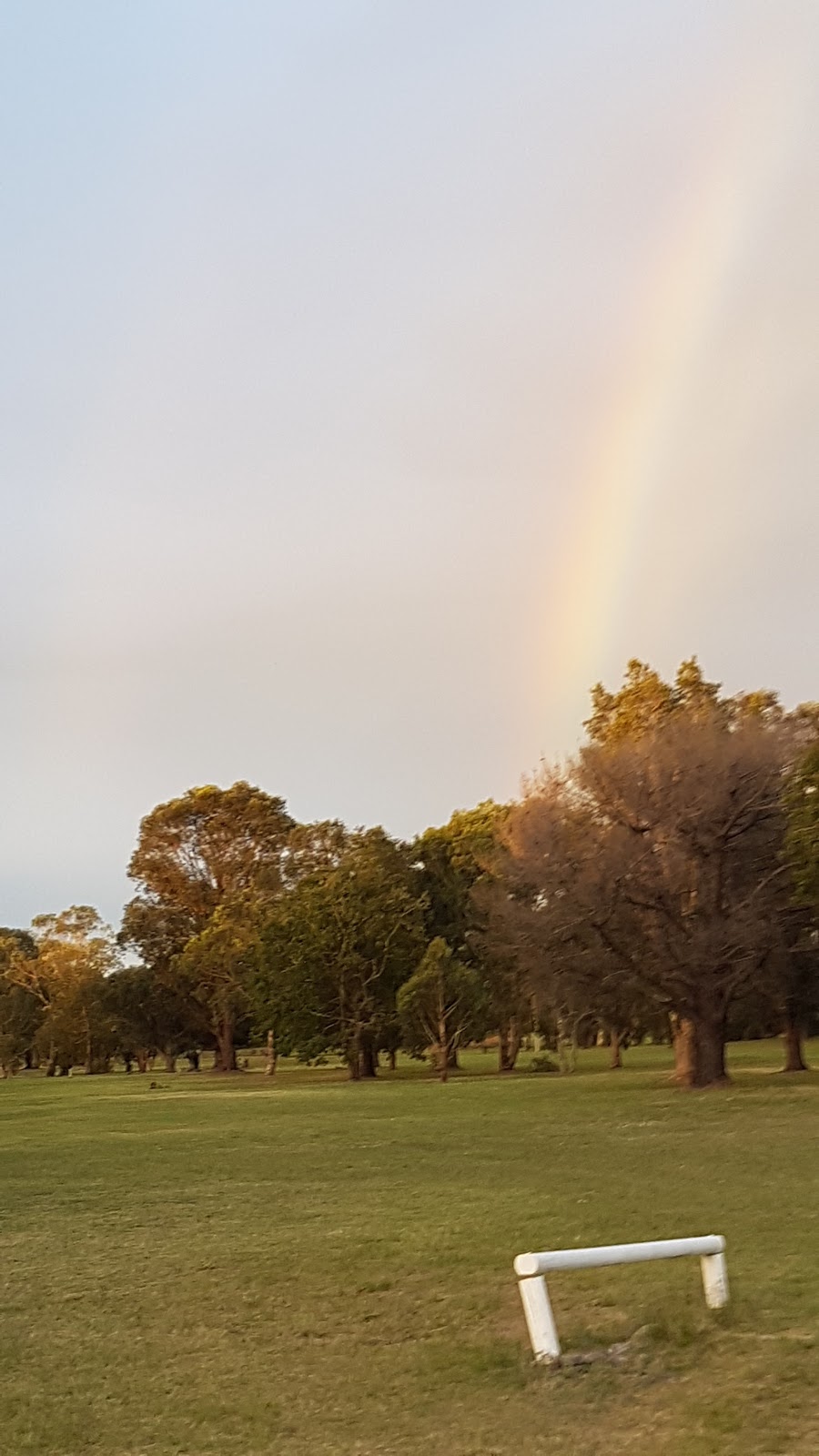 Tanilba Bay Golf Club | 988 Lemon Tree Passage Rd, Tanilba Bay NSW 2319, Australia | Phone: (02) 4982 3215