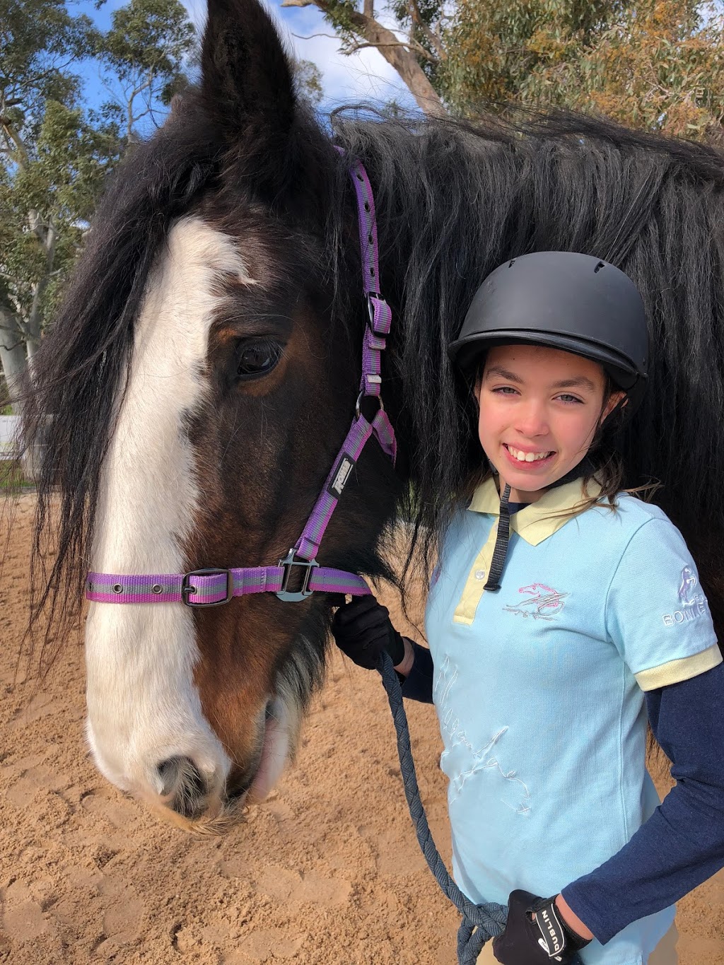 Megan Jones Equestrian Training | travel agency | 171 River Rd, Hahndorf SA 5245, Australia | 0435831304 OR +61 435 831 304