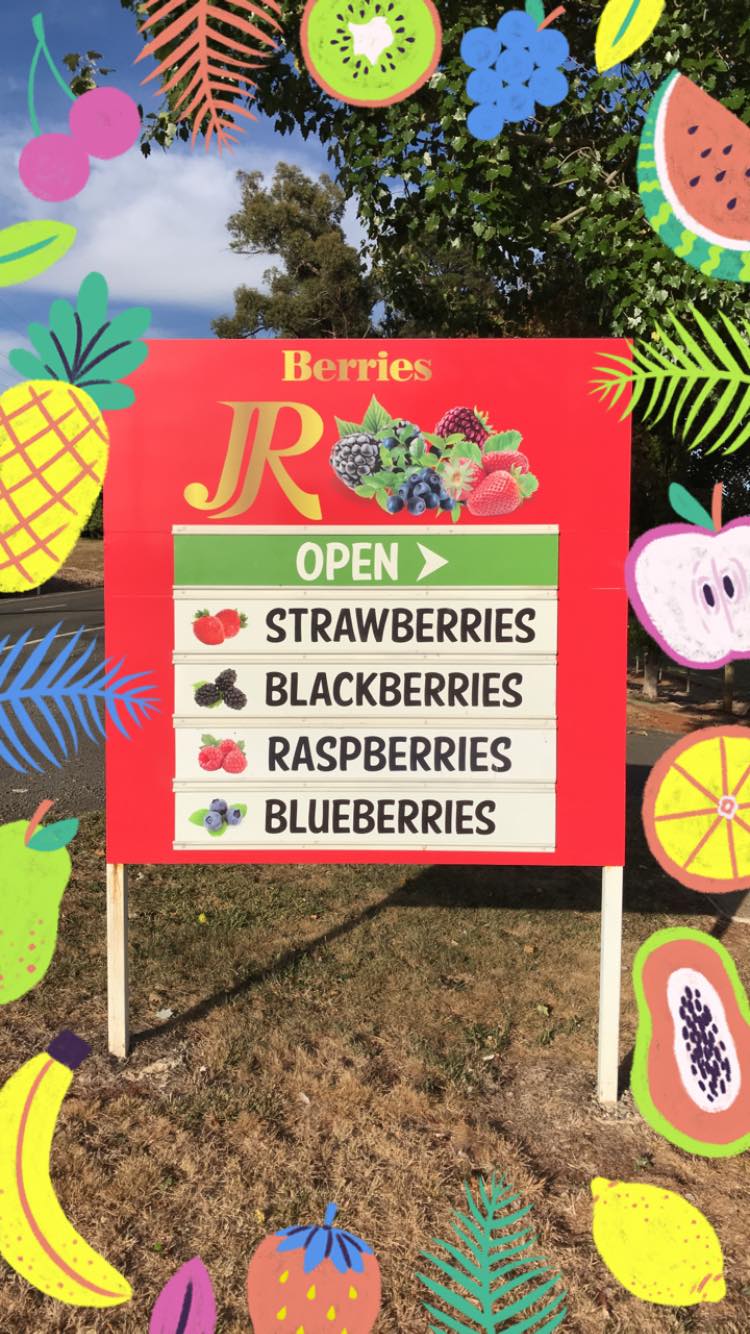 JR Berries |  | 35 Parker Rd, Wandin East VIC 3139, Australia | 0418102249 OR +61 418 102 249