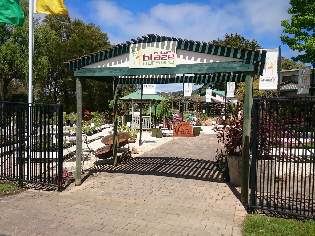 Grow Master Garden Centre | 93 Lambert St, Ararat VIC 3377, Australia | Phone: (03) 5352 1977