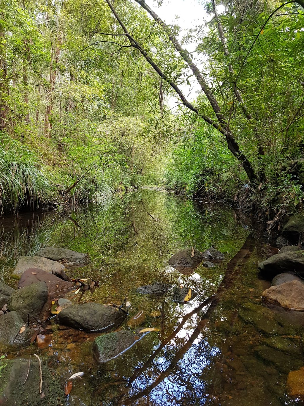 Bidjigal Reserve - Platypus Track | park | Castle Hill NSW 2154, Australia