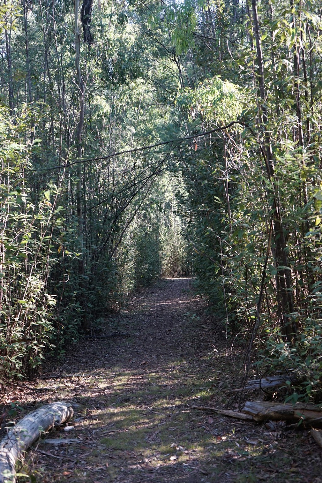 SEC Picnic Ground Car Park | Murrindindi VIC 3717, Australia