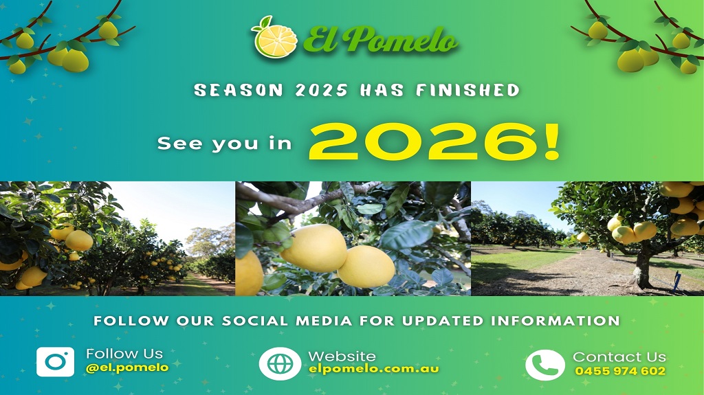 El Pomelo | 36-48 Heinemann Rd, Redland Bay QLD 4165, Australia | Phone: 0455 974 602