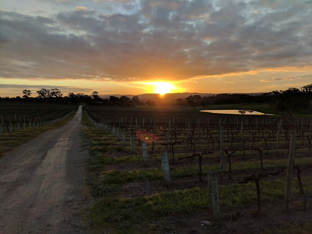 Tolley Viticulture | 76 Drummond Rd, Woodside SA 5244, Australia | Phone: 0400 710 677