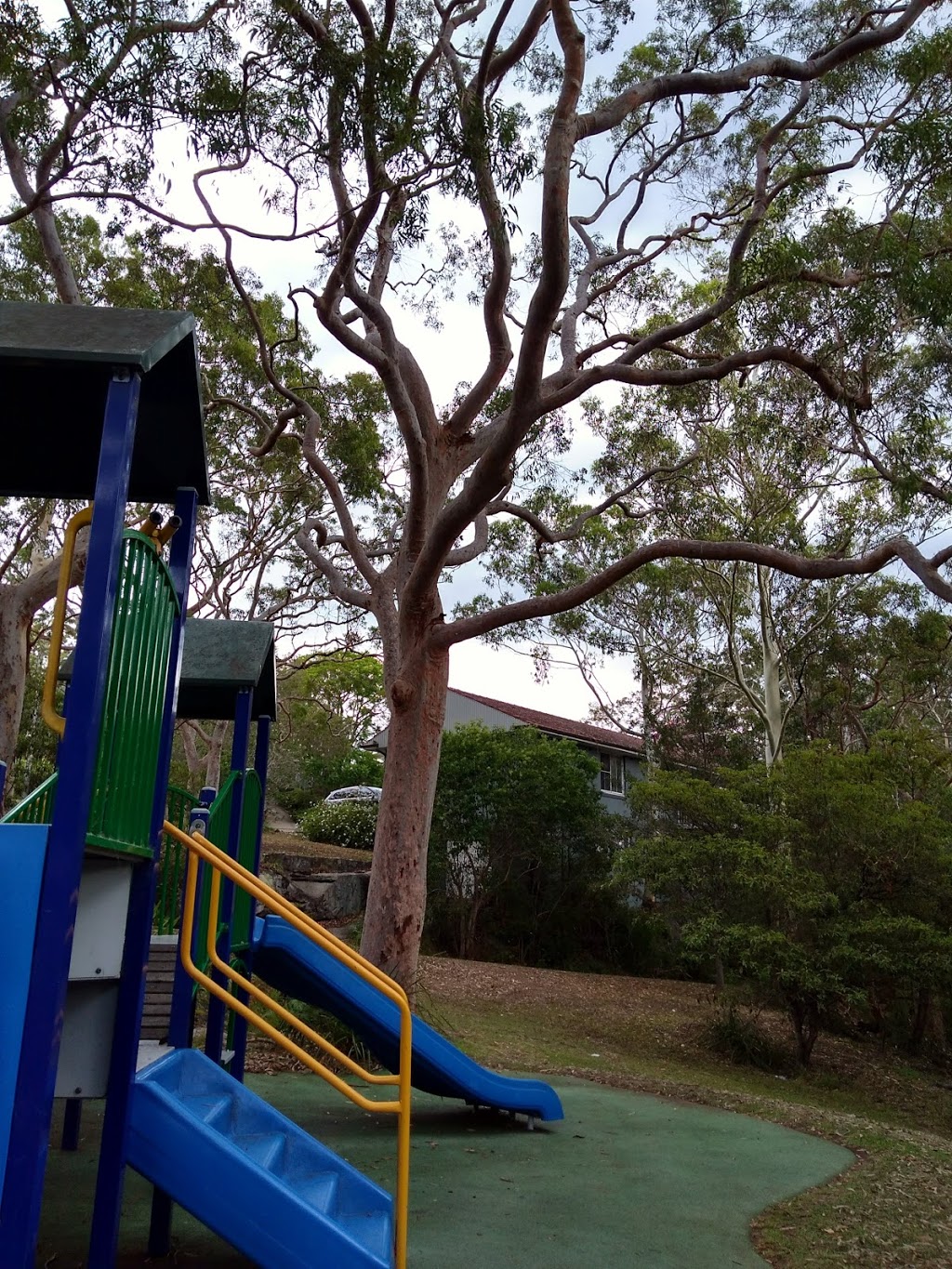 Sangrado Park | Sangrado St, Seaforth NSW 2092, Australia
