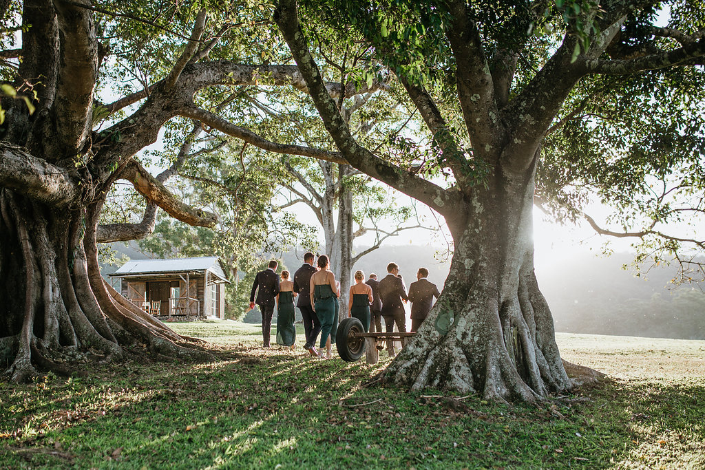 Cowbell Creek | 390 Austinville Rd, Austinville QLD 4213, Australia | Phone: 0438 326 345