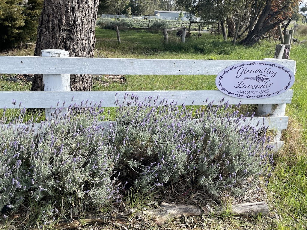 Glenvalley Lavender | 675 Traralgon-Maffra Rd, Glengarry VIC 3854, Australia | Phone: 0401 317 635