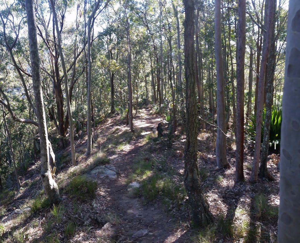 Heaton State Forest | Mount Vincent NSW 2323, Australia | Phone: 1300 655 687