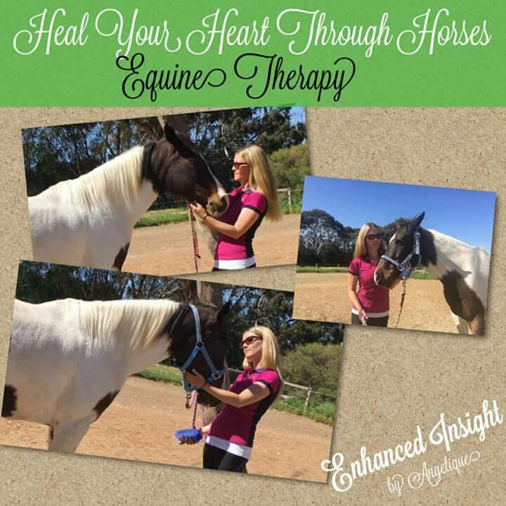 Enhanced Insight Heal your heart through horses | 17 Grayling Ct, Globe Derby Park SA 5110, Australia | Phone: 0402 419 556